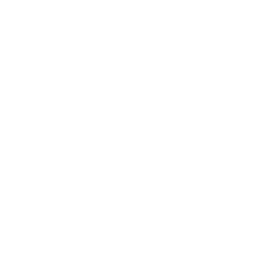 Professional Audio Visual bridges logo